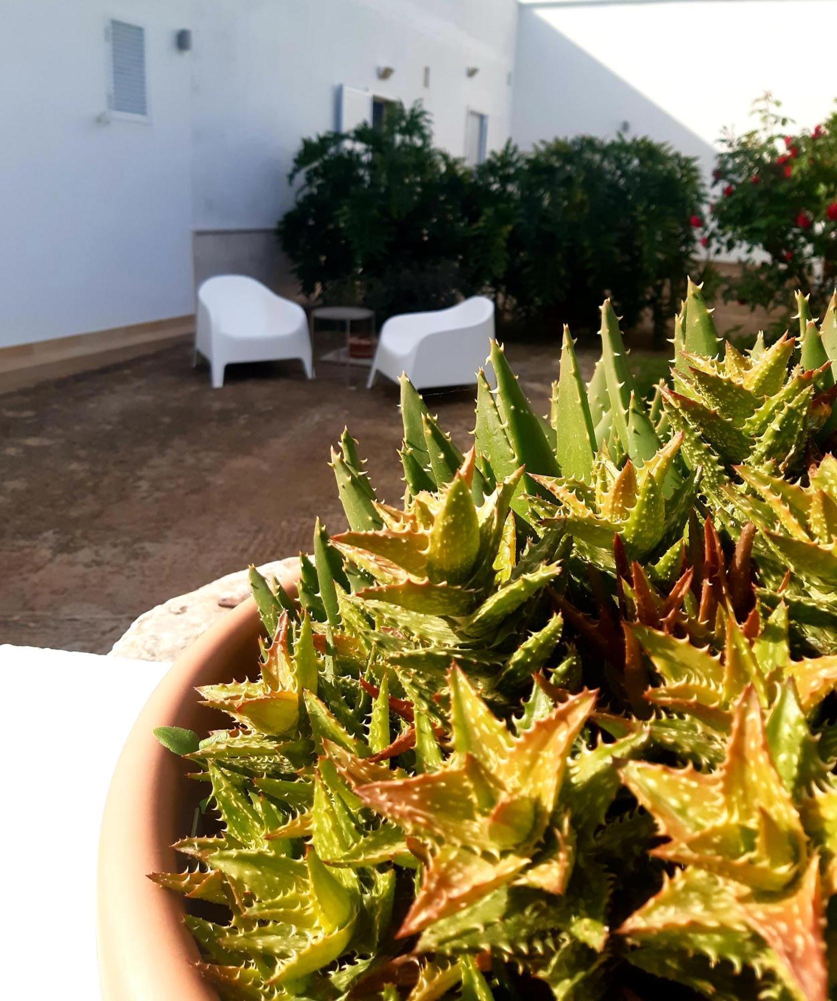 B&B Bell'Aria Monopoli Exterior foto